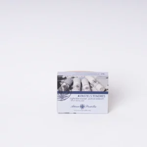 Set of 4 dry pastels - Dyers' Pastels