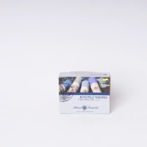 Coffret de 4 pastels secs - Bleus