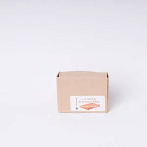 Coffret de 4 pastels secs - Brique