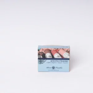 Set of 4 dry pastels - Sanguine